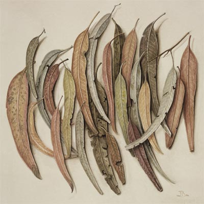 'Eucalyptus Leaves', Watercolour, Jenny Barron