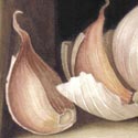 'Still Life with Garlic', Watercolour, Jenny Barron
