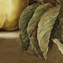 'Still Life with Quince', Watercolour, Jenny Barron